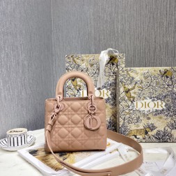 디올 MY ABCDIOR 레이디백  M0538-3