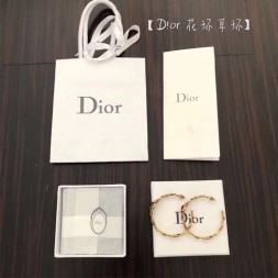 디올 신상 귀걸이 D120256